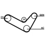 CONTINENTAL CTAM Flerspårsremssats 6PK1050D2