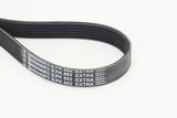 CONTINENTAL CTAM Moniurahihna 6PK882 EXTRA