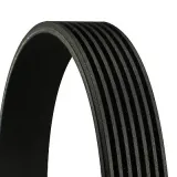 CONTINENTAL CTAM Ķīļrievu siksna 7PK1666