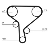 CONTINENTAL CTAM Hammasrihma komplekt CT1046K1