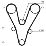 CONTINENTAL CTAM Hammasrihm CT1073