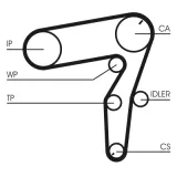 CONTINENTAL CTAM Vesipumppu + jakohihnasarja CT1106WP1