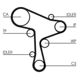 CONTINENTAL CTAM Hammasrihma komplekt CT1168K3