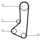 CONTINENTAL CTAM Kuggrem CT511