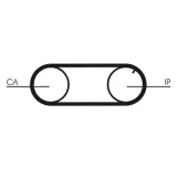 CONTINENTAL CTAM Hammasrihm CT641
