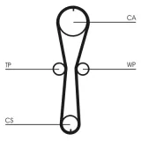 CONTINENTAL CTAM Hammashihnasarja CT915K1