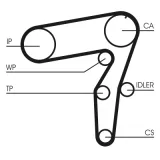 CONTINENTAL CTAM Vesipumppu + jakohihnasarja CT968WP2