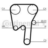 CONTINENTAL CTAM Kuggrem CT981