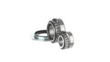 SKF Pyöränlaakerisarja VKBA 3565