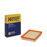 HENGST FILTER Воздушный фильтр E250L