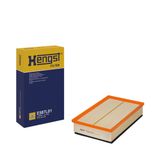 HENGST FILTER Воздушный фильтр E587L01