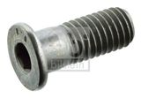 FEBI BILSTEIN Ruuvi, jarrulevy 01893