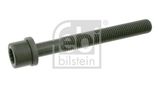 FEBI BILSTEIN Cilindru galvas skrūve 06666