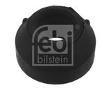 FEBI BILSTEIN Подвеска, рычаг независимой подвески колеса 06766