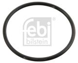 FEBI BILSTEIN Blīve, Termostats 10258