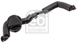 FEBI BILSTEIN Voolik,Karterituulutus 170612