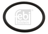 FEBI BILSTEIN Blīve, Termostats 17966