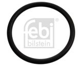 FEBI BILSTEIN Blīve, Termostats 17970