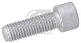 FEBI BILSTEIN Akselipultti, vetoakseli 196197