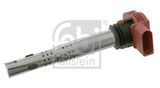 FEBI BILSTEIN ritė, uždegimas 23260