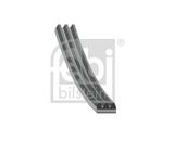 FEBI BILSTEIN Поликлиновой ремень 28743