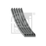 FEBI BILSTEIN Поликлиновой ремень 28828
