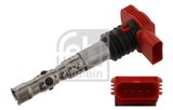 FEBI BILSTEIN ritė, uždegimas 29859