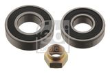 FEBI BILSTEIN Комплект подшипника ступицы колеса 29905