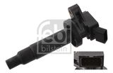 FEBI BILSTEIN ritė, uždegimas 32056