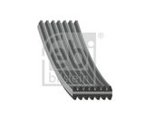 FEBI BILSTEIN Поликлиновой ремень 45025