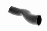 VAICO Ahdinletku V30-2501