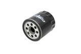 AUTOMEGA Eļļas filtrs 210006610