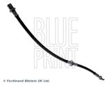 BLUE PRINT stabdžių žarnelė ADT35353