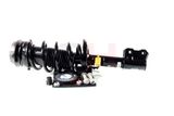 GH Vedruamort GH-353610C02