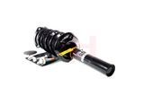 GH Vedruamort GH-359961C01