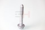 GH Ruuvi, akselitappi GH-394711