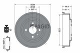 PAGID Jarrurumpu 61315N