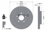 PAGID Комплект тормозов, дисковый тормозной механизм T1091N-54059N-00