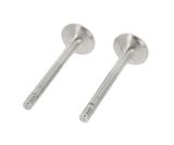 CORTECO Utloppsventil 550840B