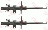 TRW Амортизатор JGM1040T