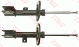 TRW Амортизатор JGM1079T