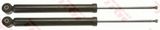 TRW Амортизатор JGT1082T