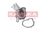 KAMOKA Водяной насос, охлаждение двигателя T0197