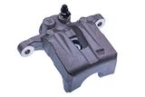 DENCKERMANN Jarrusatula B190313R