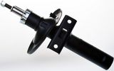 DENCKERMANN Амортизатор DSB124G