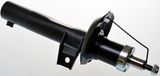 DENCKERMANN Amortisaator DSB131G