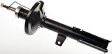 DENCKERMANN Амортизатор DSB253G