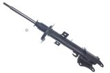 DENCKERMANN Амортизатор DSB520G