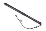 DENCKERMANN Elektrimootor, tagaluuk G100084