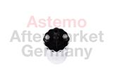 ASTEMO Топливный насос 2503182